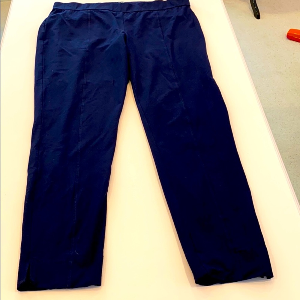 EF Ankle Pants Sz L